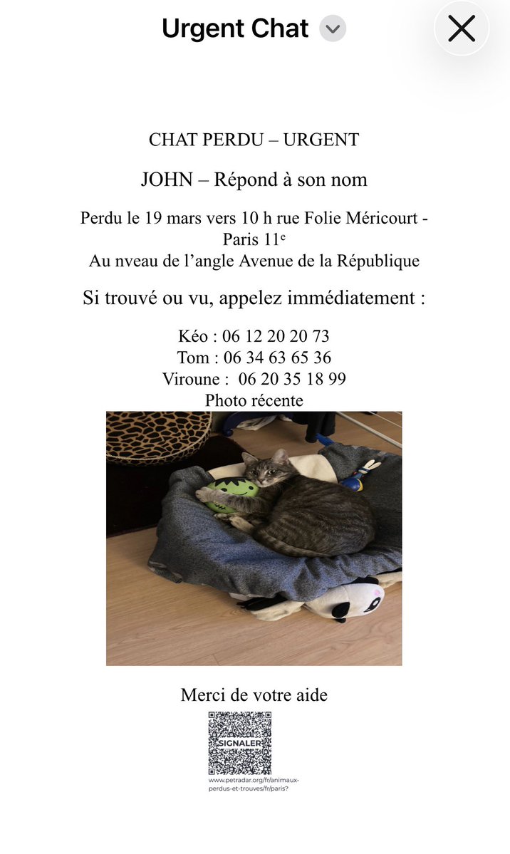 Association chats du bois de Vincennes et alentour tweet media