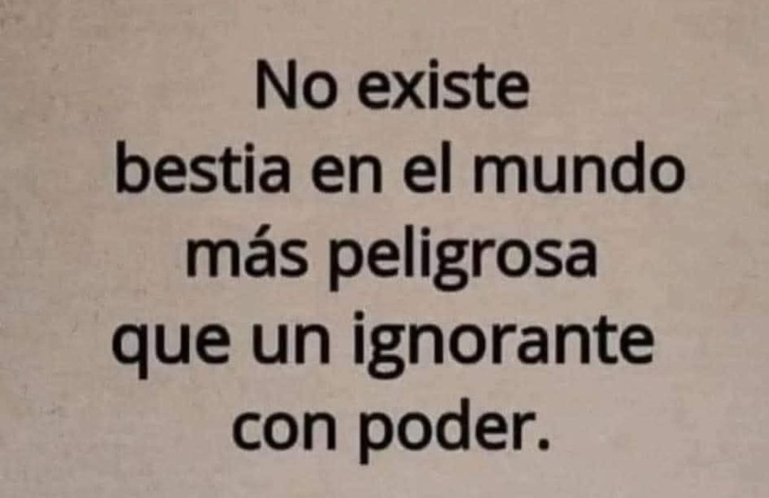 Ana Rojas Silva tweet media