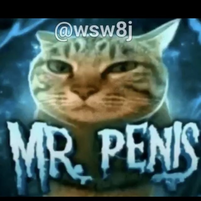 LVV | PUMPY tweet media