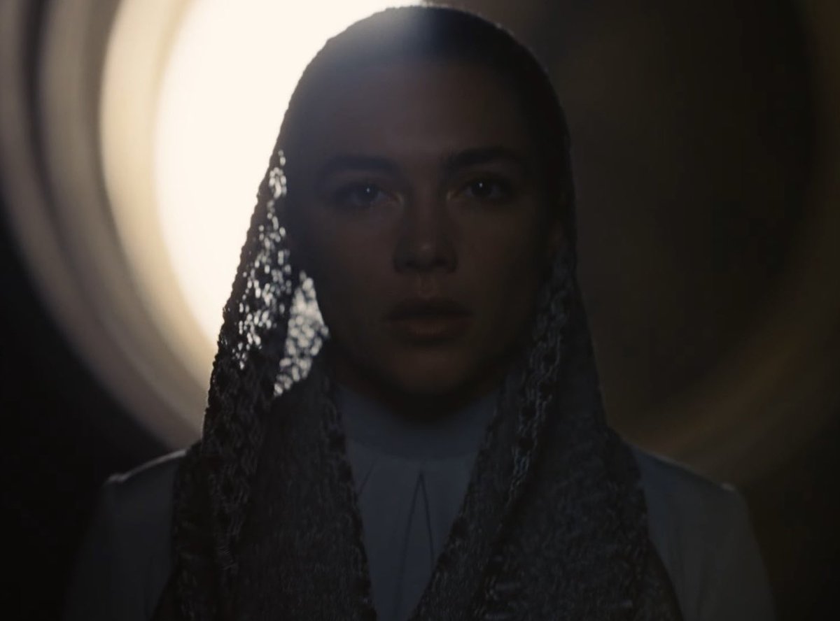 m ˚⟡˖ ࣪ tweet media