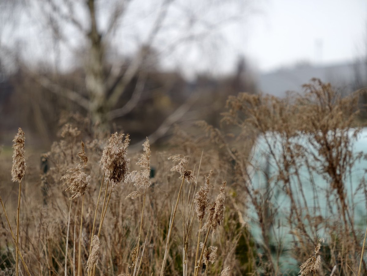 Robert Nawrowski tweet media