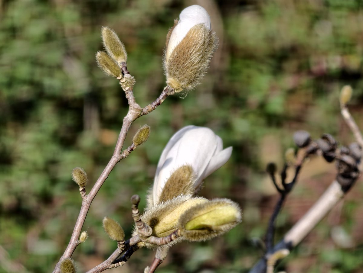 Robert Nawrowski tweet media