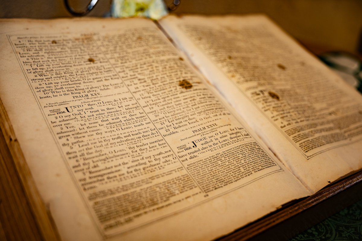 西尾タクト 🚗📷🎙 Takuto.N tweet media