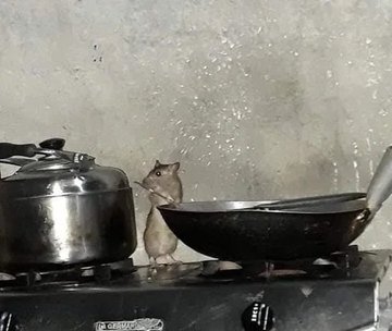 •☆°Hell boy°☆• tweet media