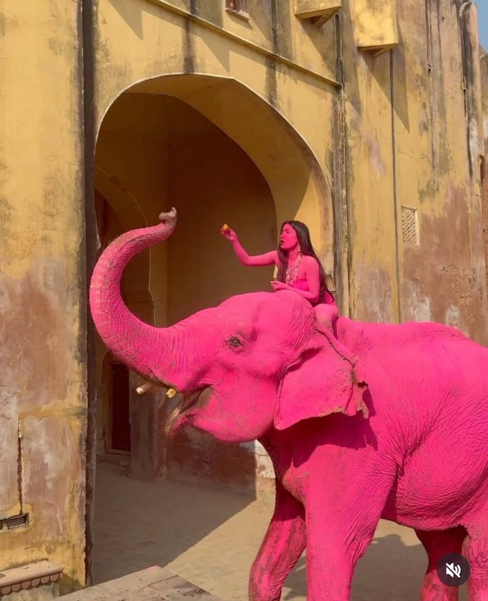 #YeThikKarkeDikhao tweet media