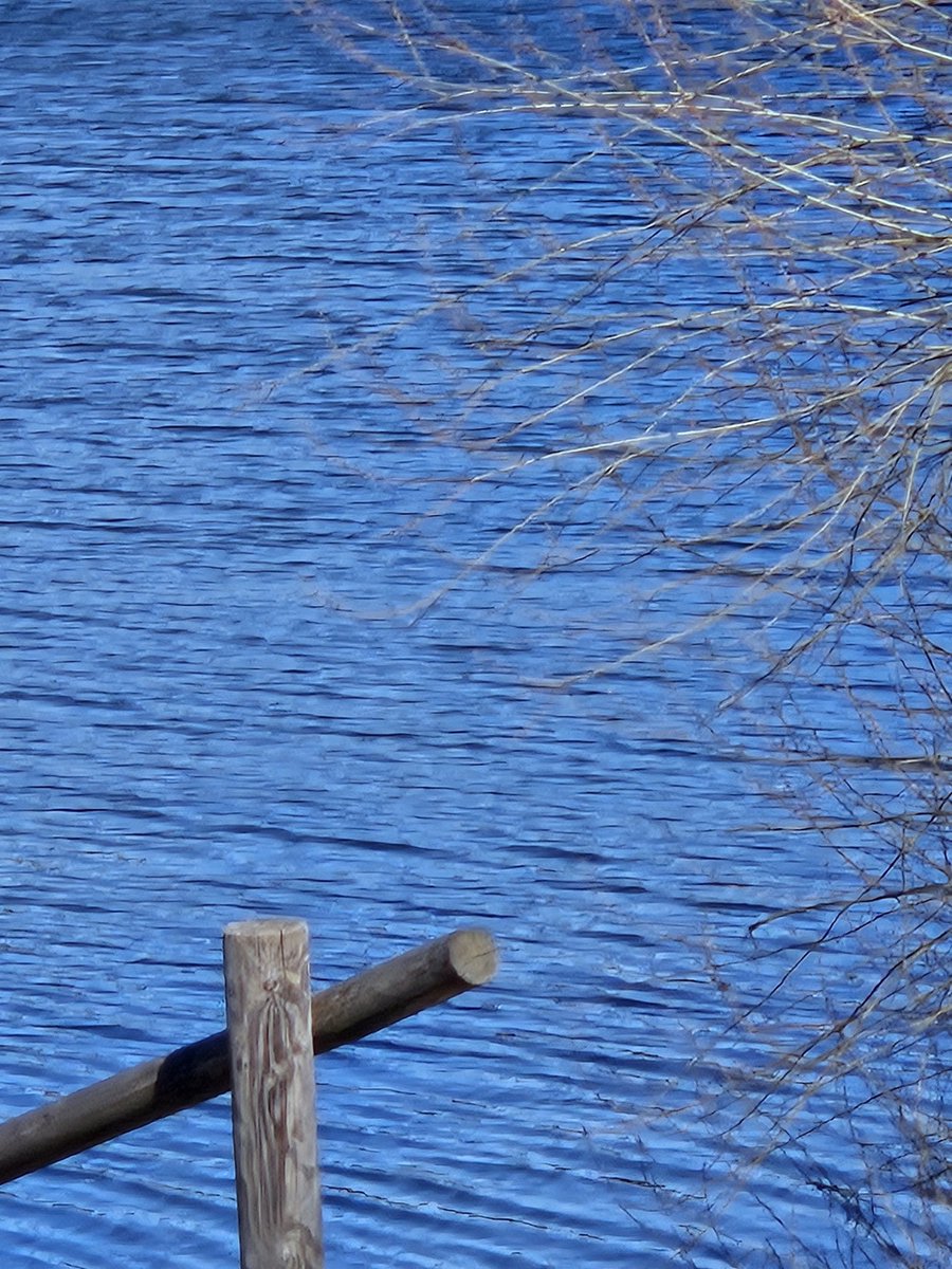 VenavellaSian🔞🇺🇦🇮🇱 tweet media