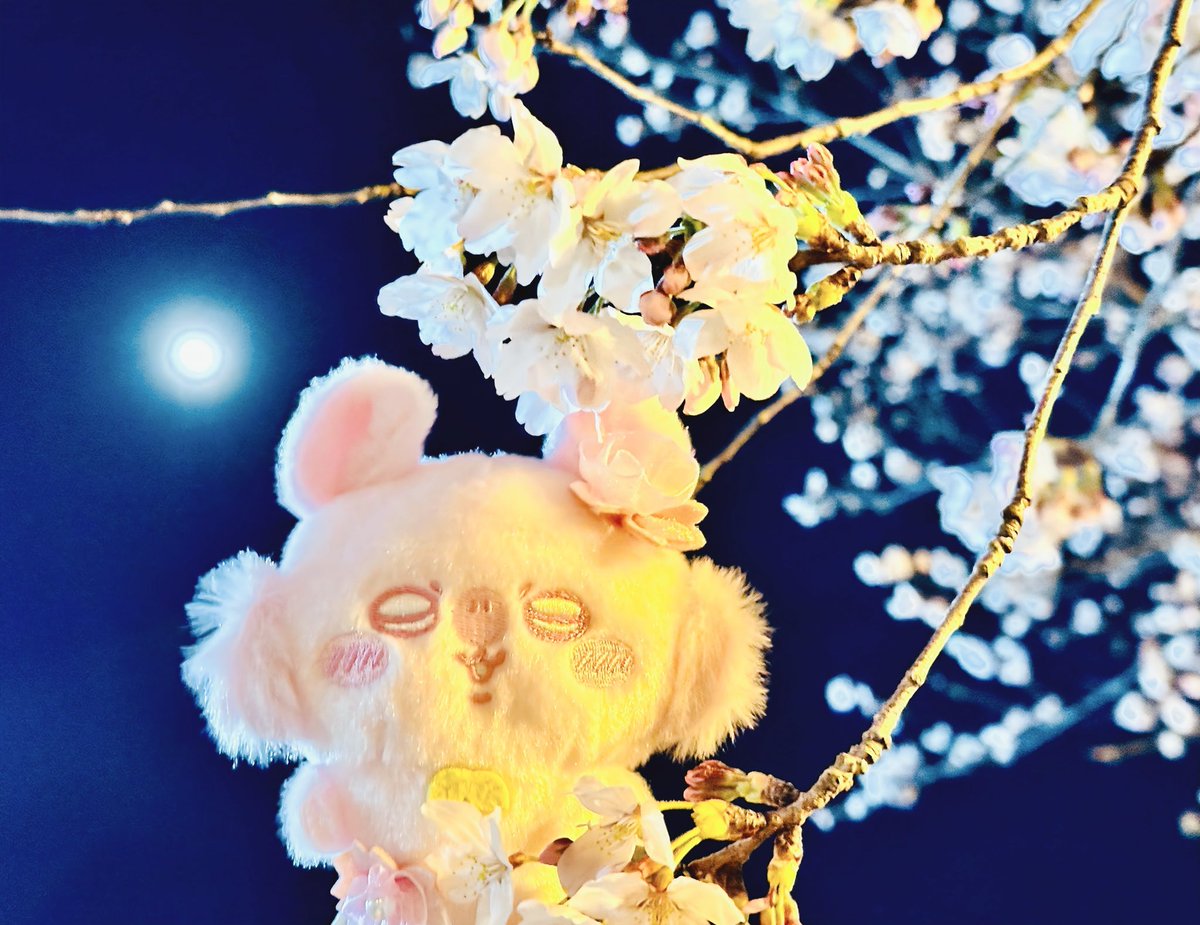 しぽぽ೨⁾⁾ tweet media