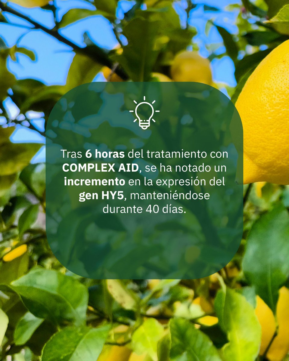 IRCONSA tweet media