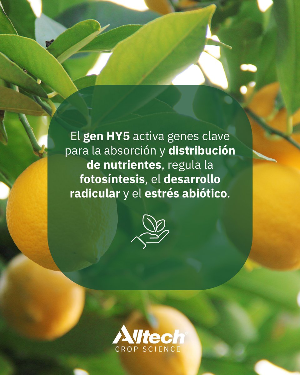 IRCONSA tweet media