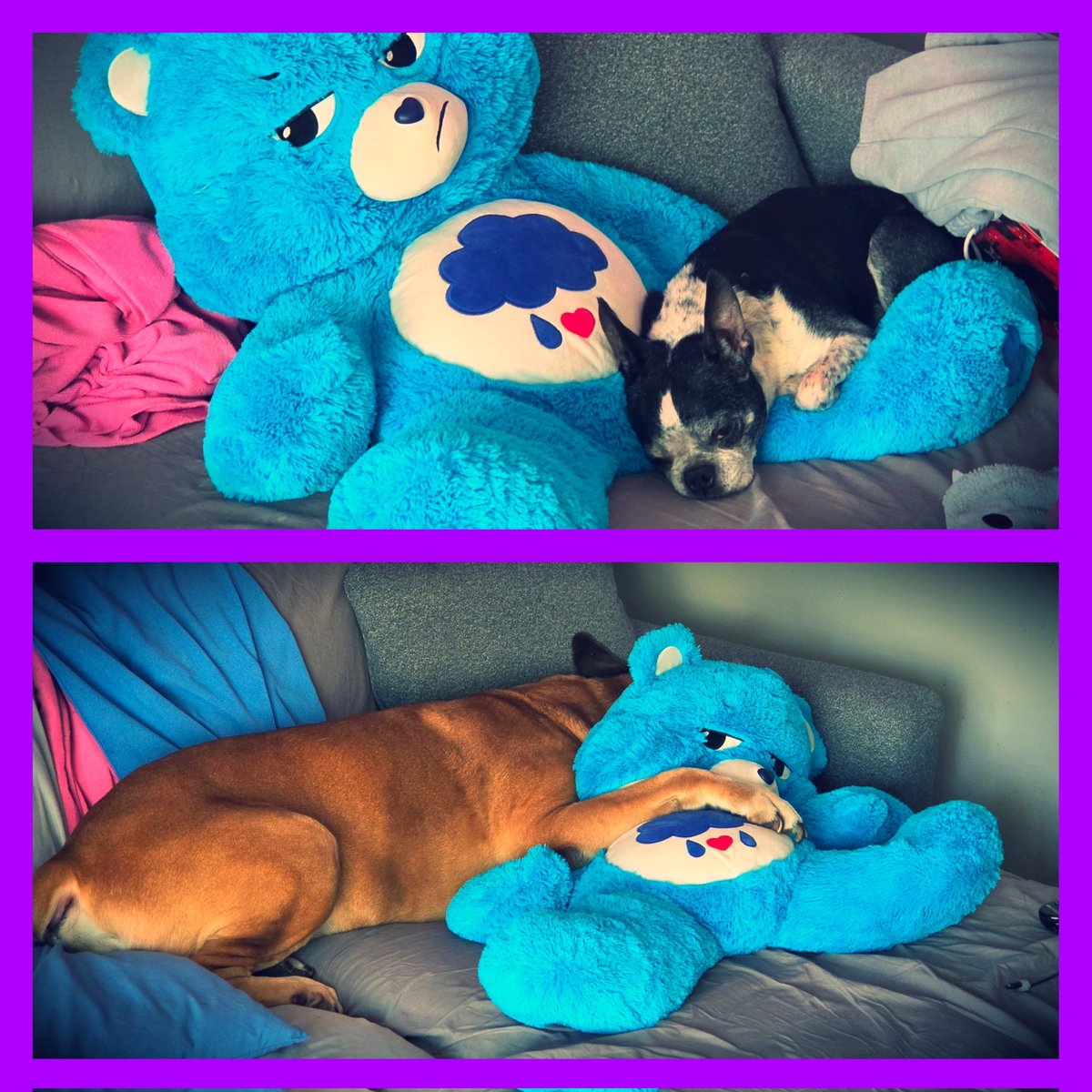 CherryBomb73🍒💣💋✌🏻❤️ tweet media