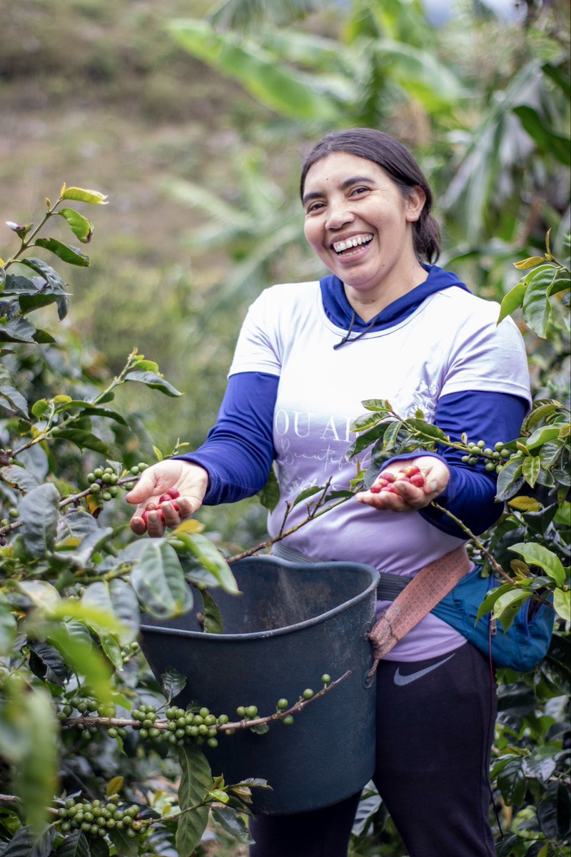 Ingrid Cortes tweet media