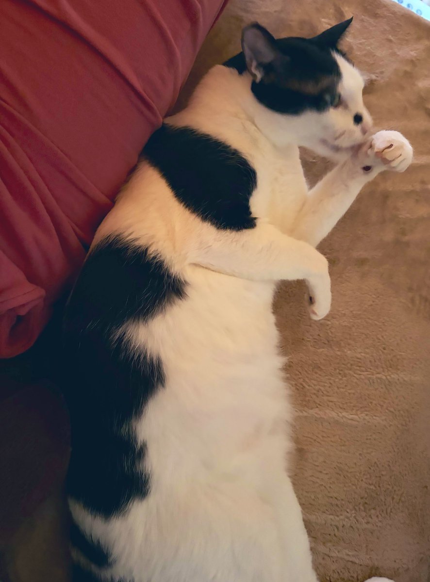 原田　千栄 tweet media