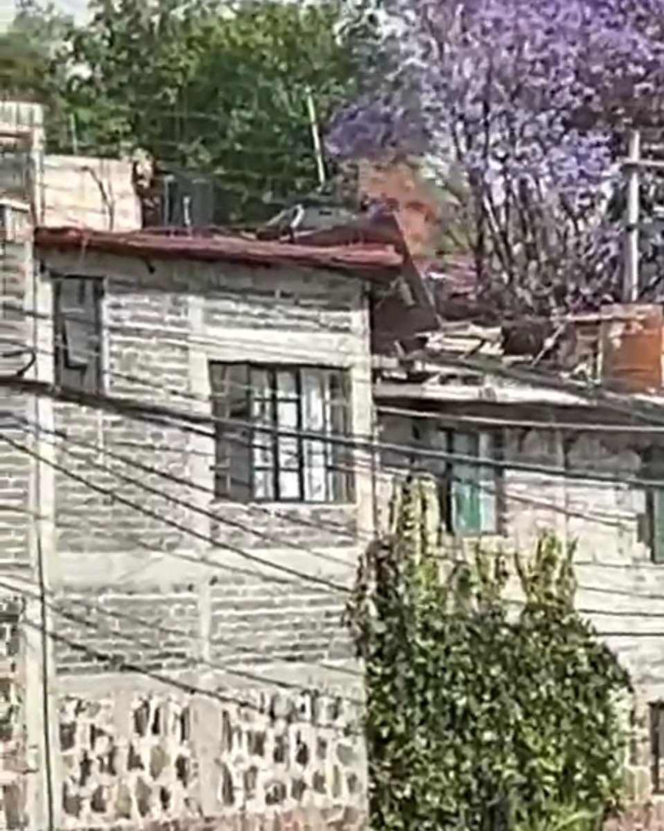 Colonia Sta Úrsula Xitla tweet media