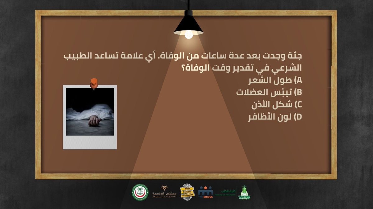 نادي الجسر | The Bridge tweet media