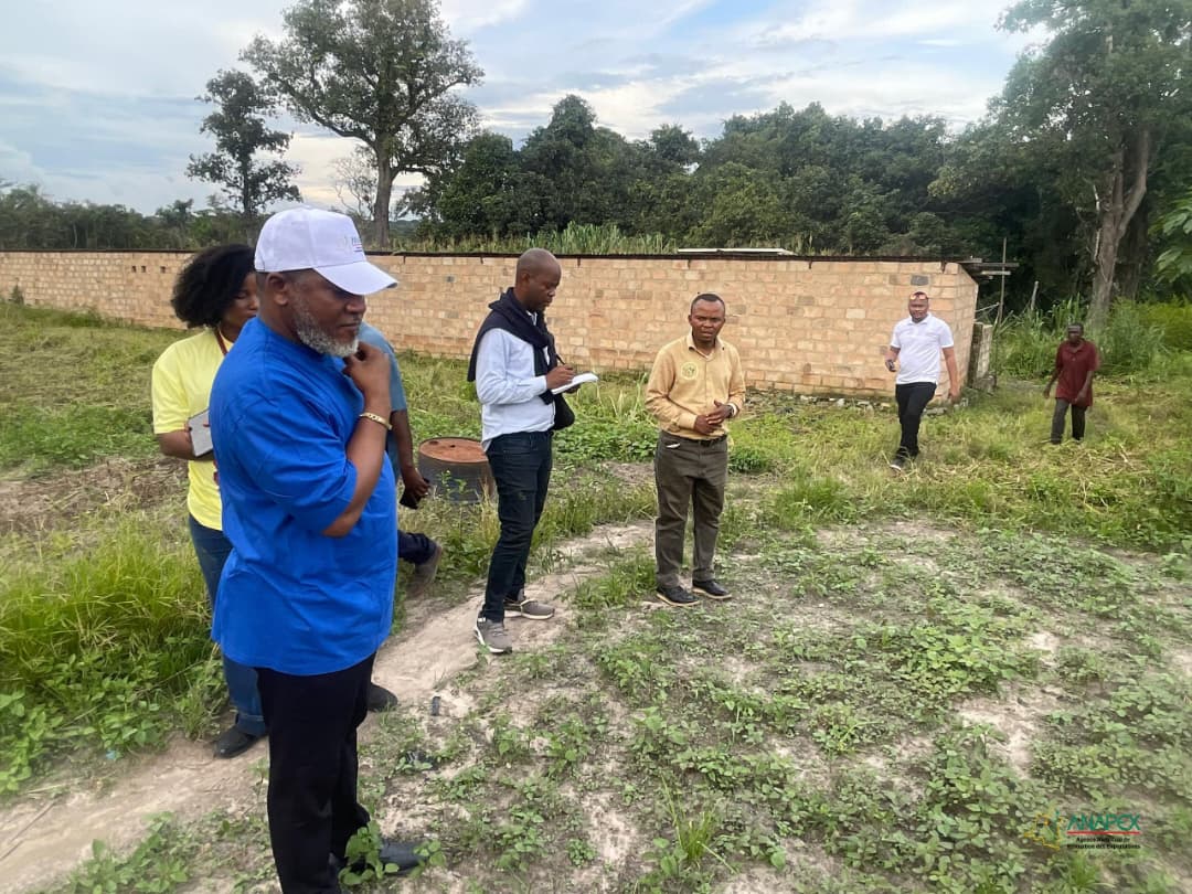 Anapex RDC tweet media