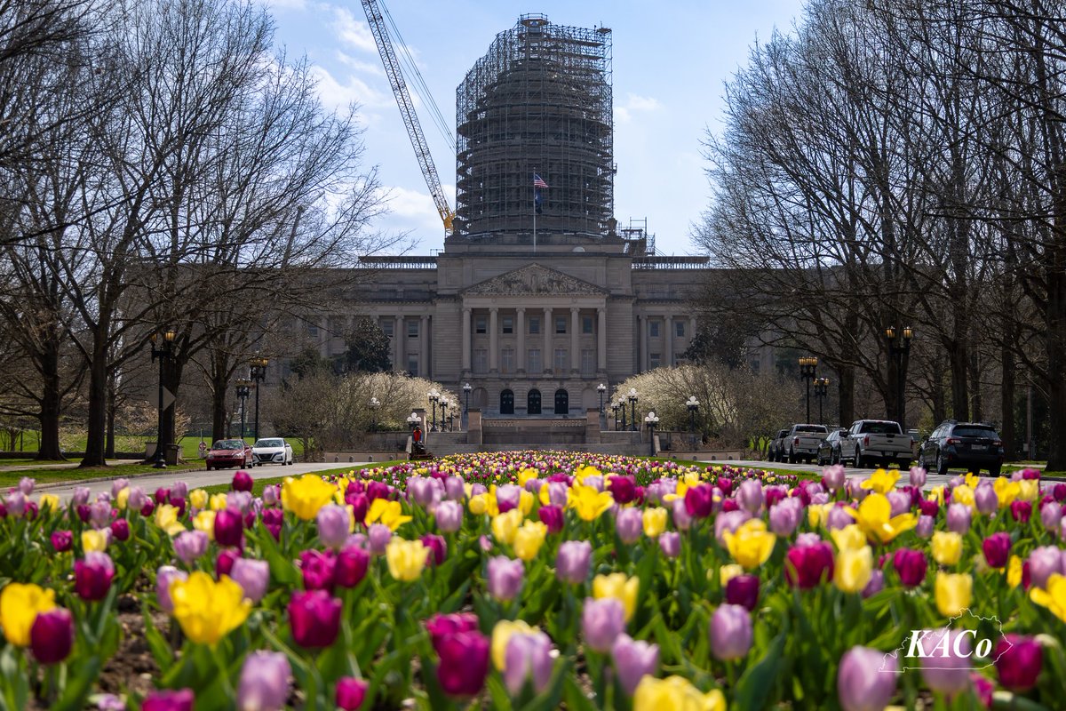 Kentucky Association of Counties tweet media