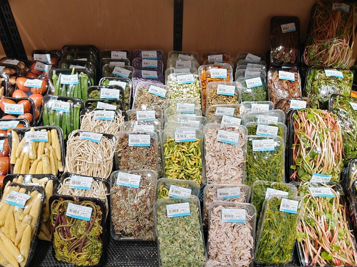 Sharon Gannon tweet media