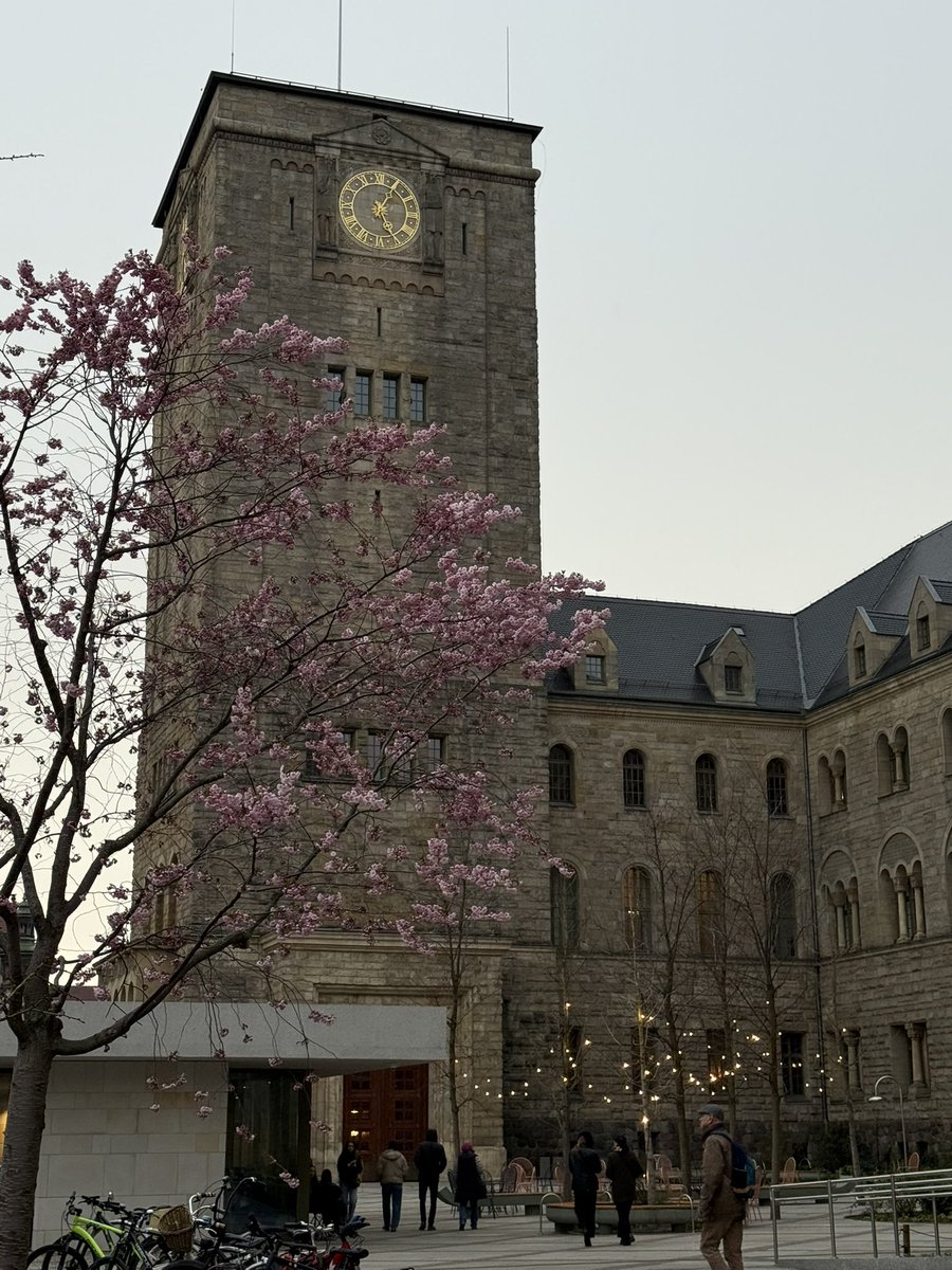 ANDREW 🇵🇱 tweet media