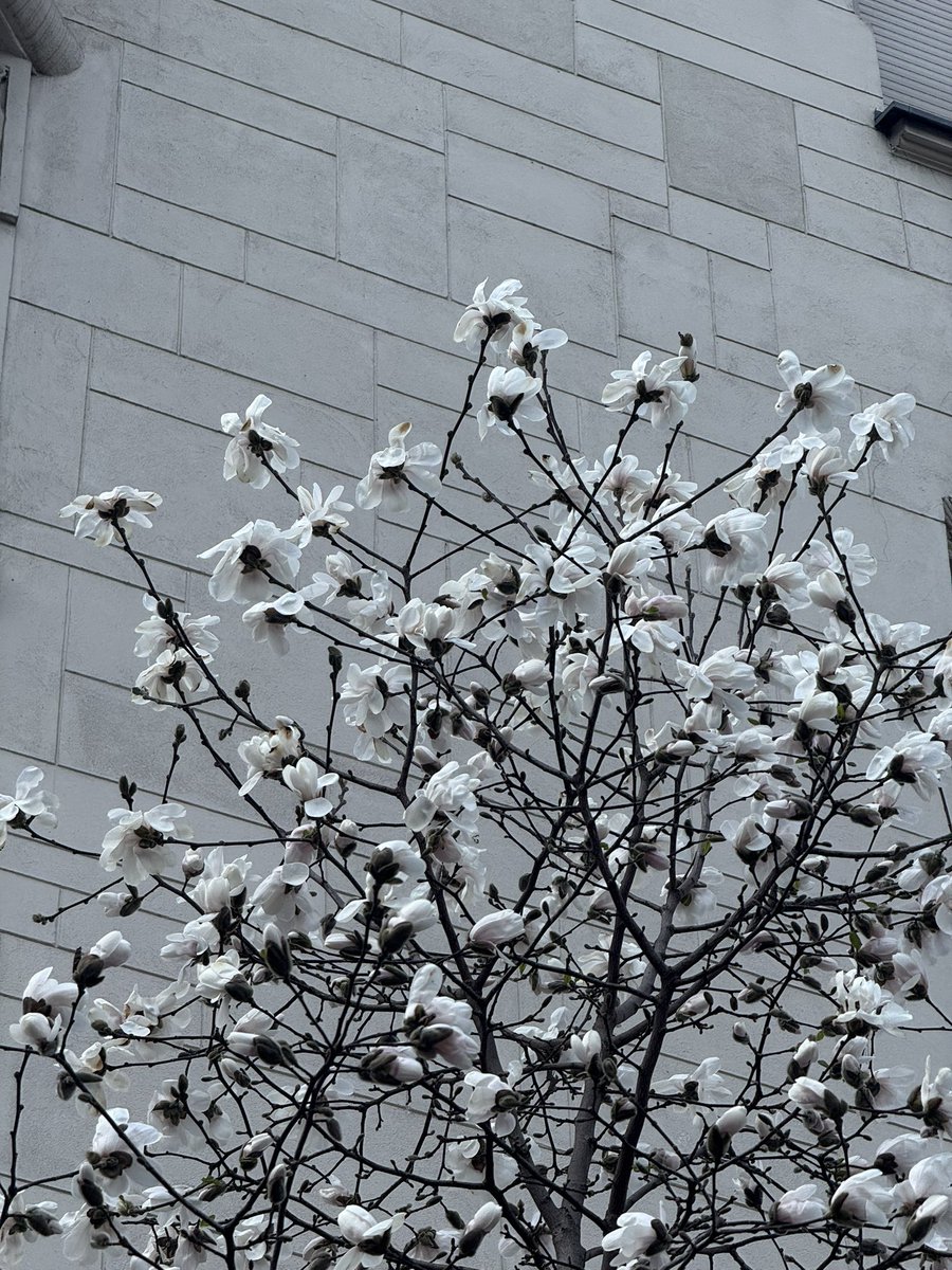 ANDREW 🇵🇱 tweet media