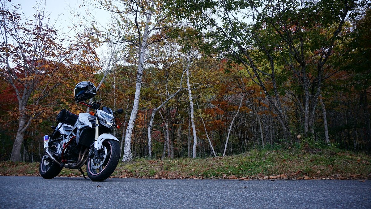 ドム蔵@Dの人 tweet media