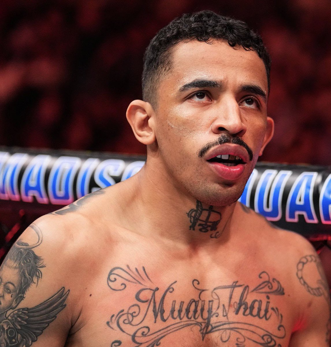 Dr. Boob tweet media