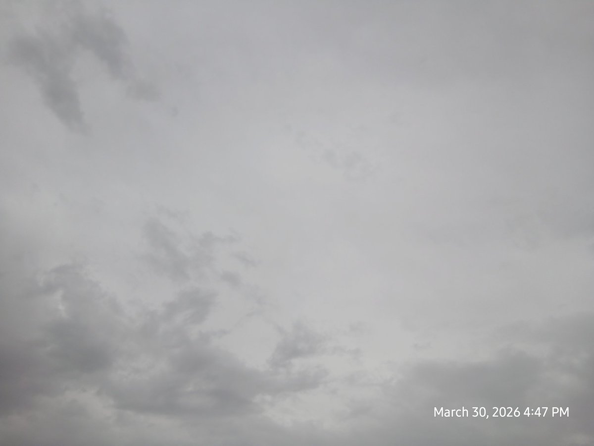 Humanity Purpose tweet media