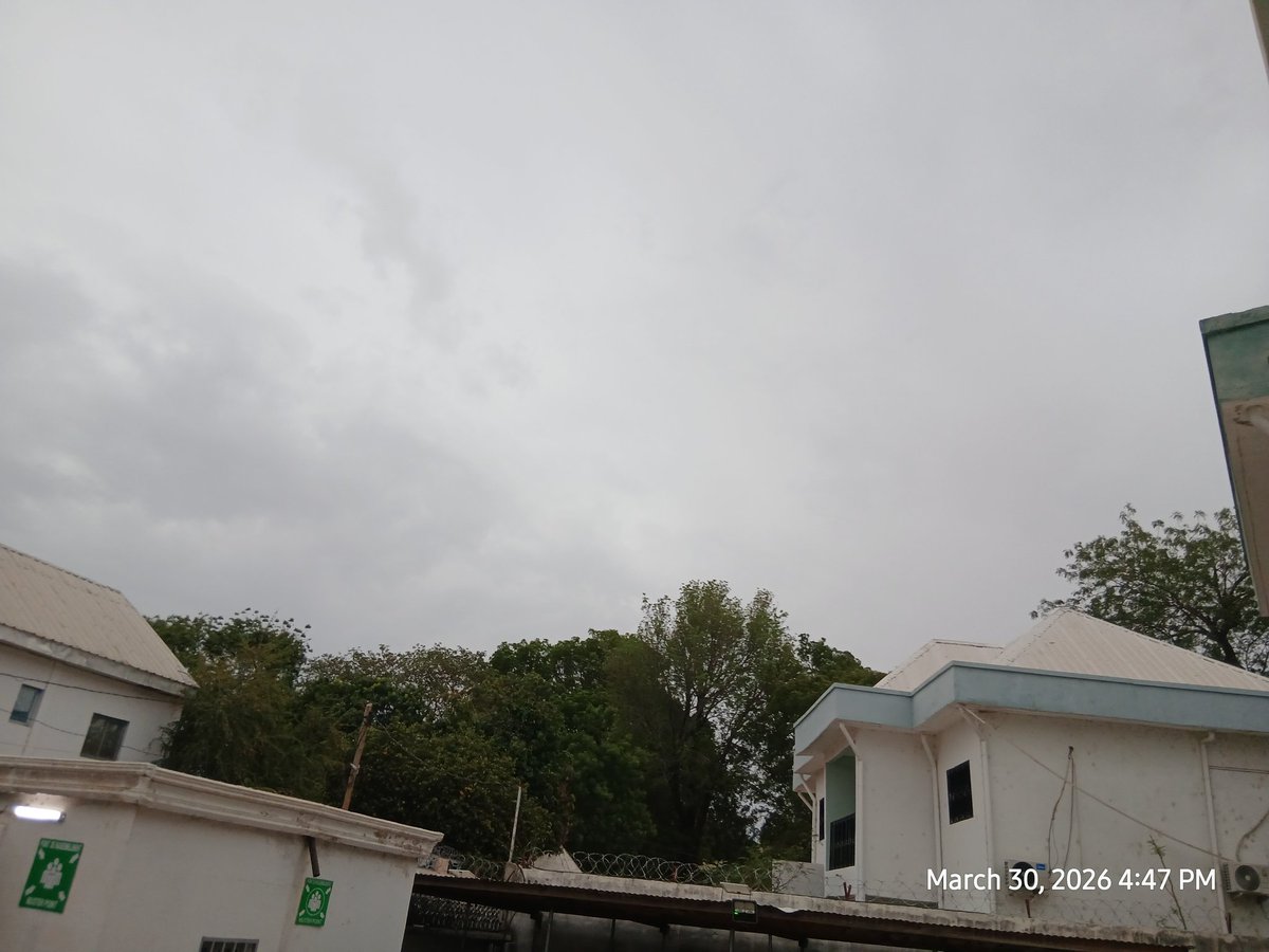 Humanity Purpose tweet media