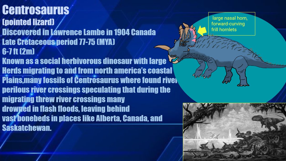 🦴 Kinge Tatsuo 🔍【TZN】Paleontologist VTuber tweet media