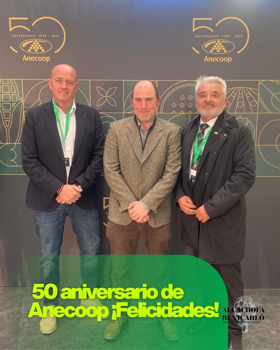 ALCACHOFABENICARLO tweet media