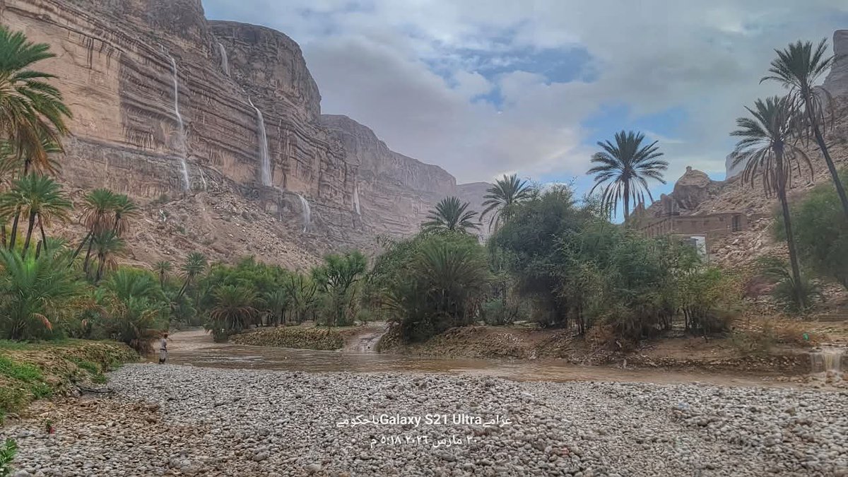 طقس حضرموت tweet media