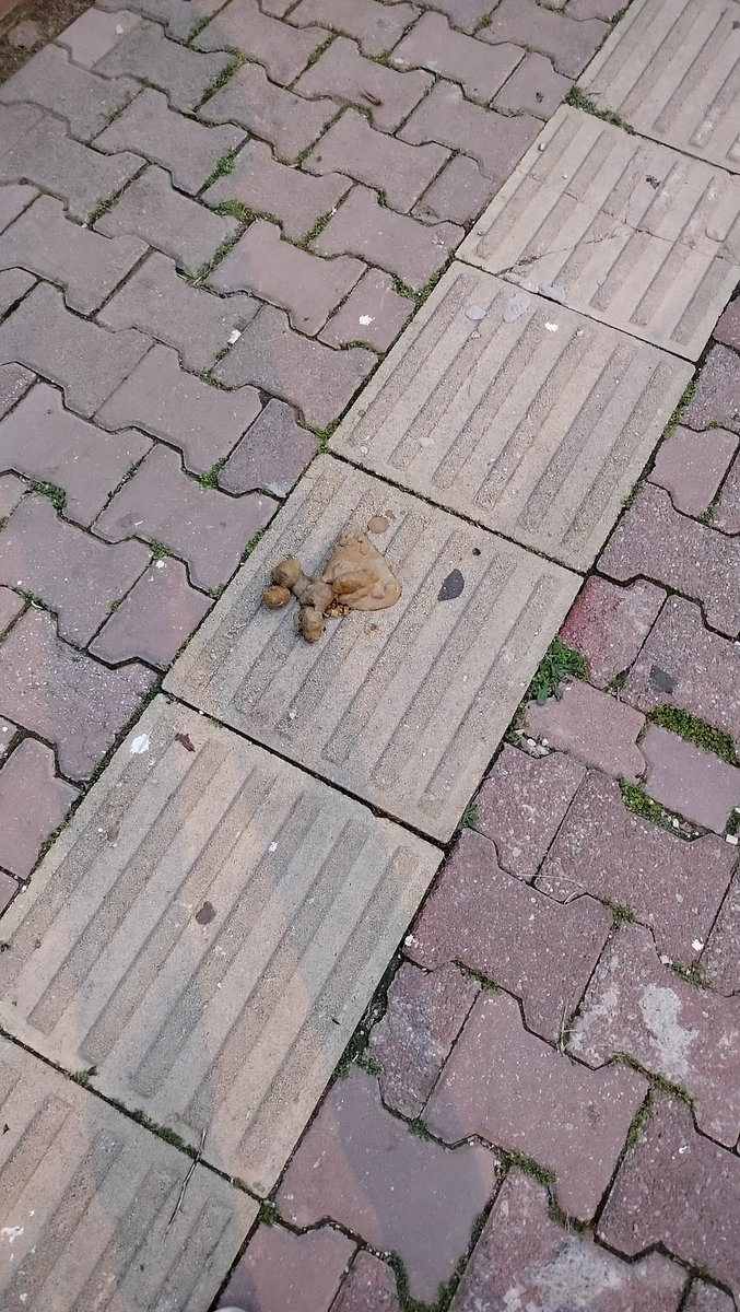 Pamuk Prenses tweet media