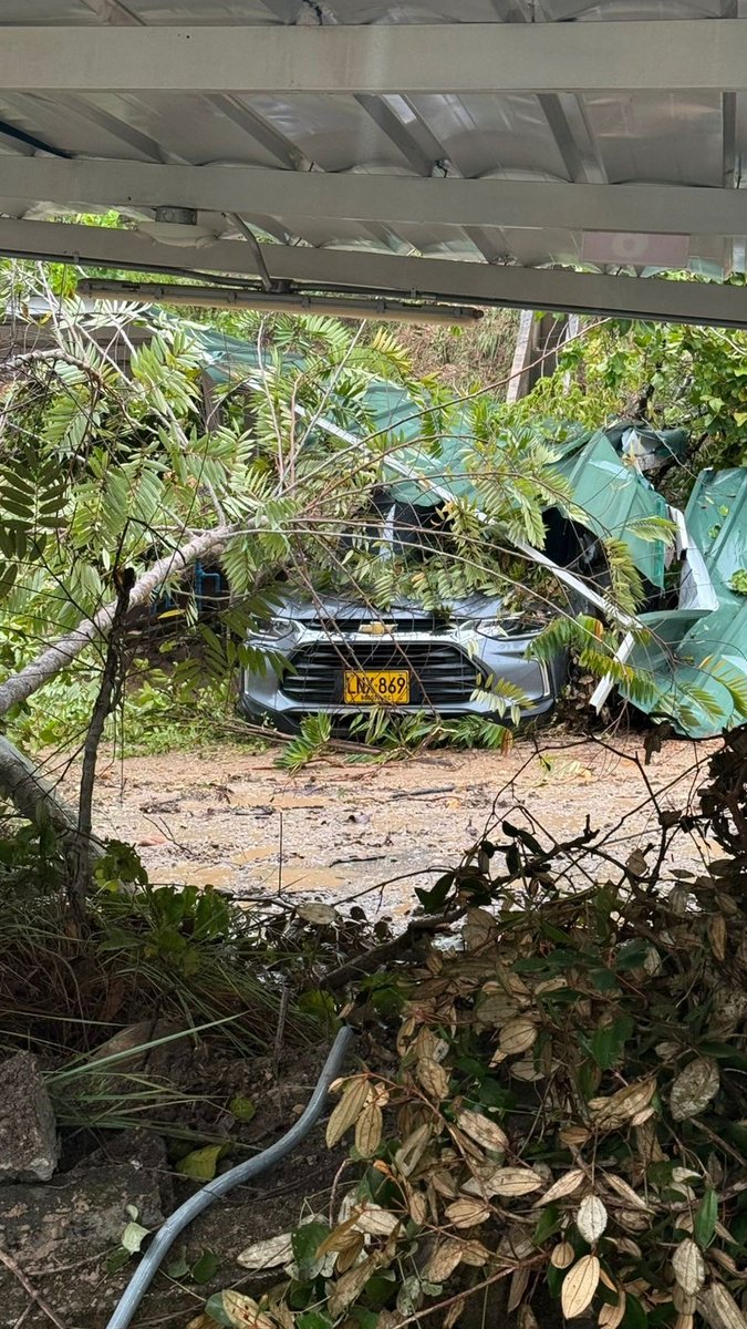 Colombia Oscura tweet media