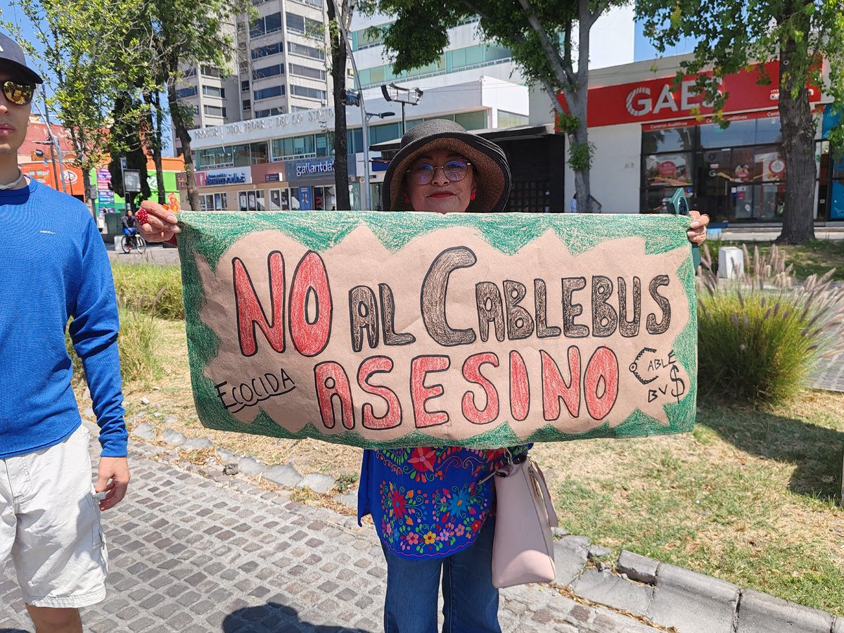 Árboles Patrimoniales de Puebla tweet media