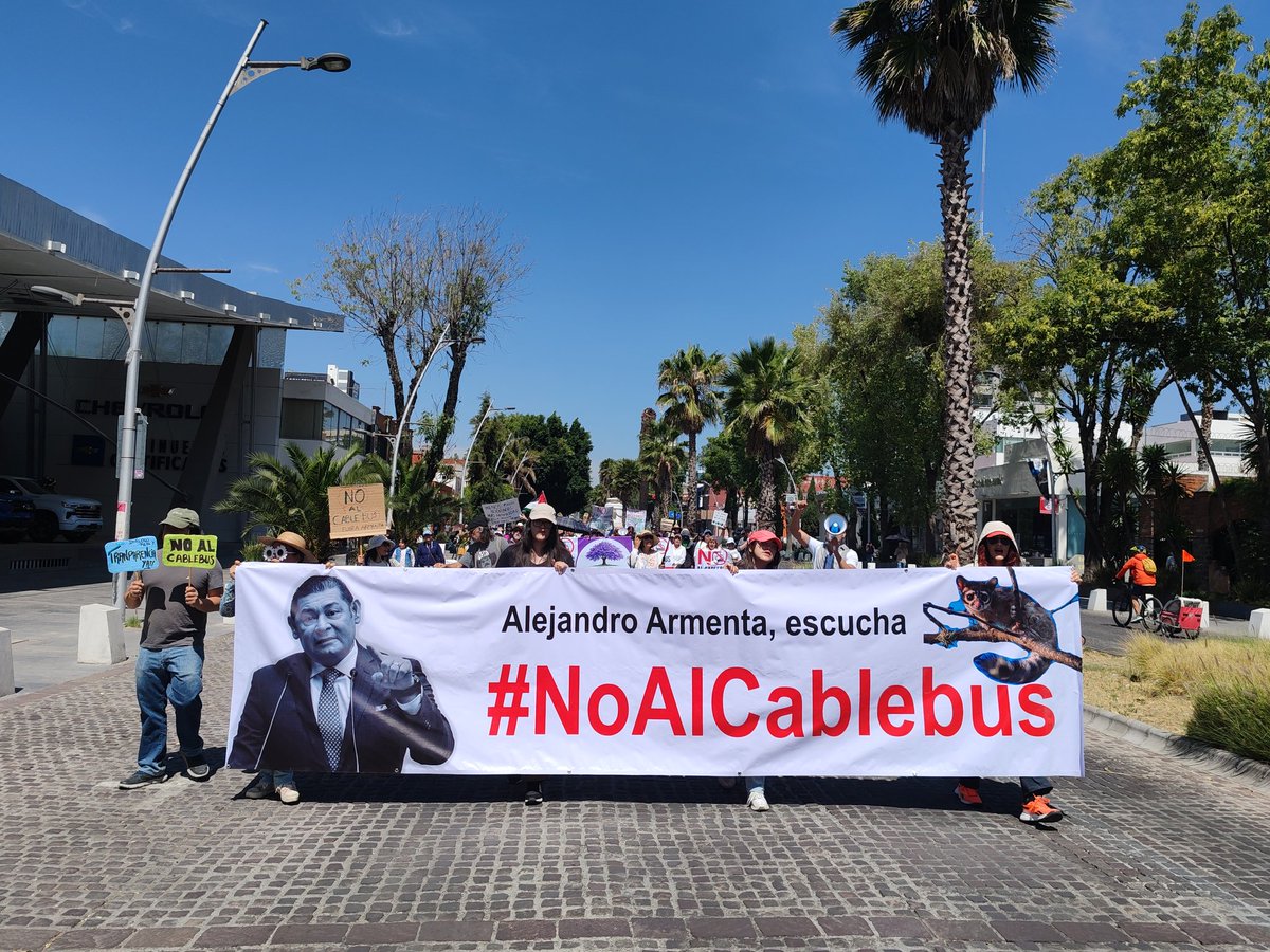 Árboles Patrimoniales de Puebla tweet media