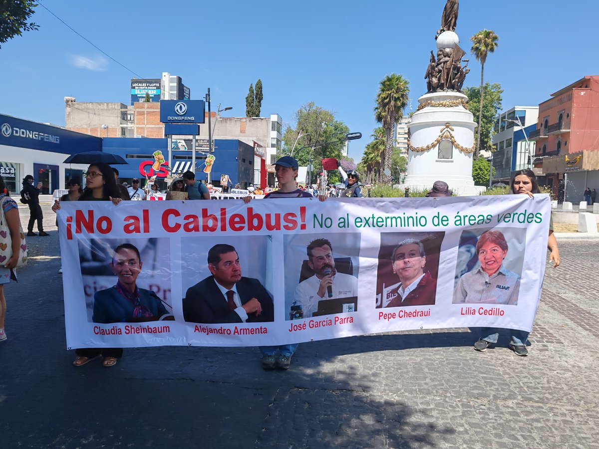 Árboles Patrimoniales de Puebla tweet media