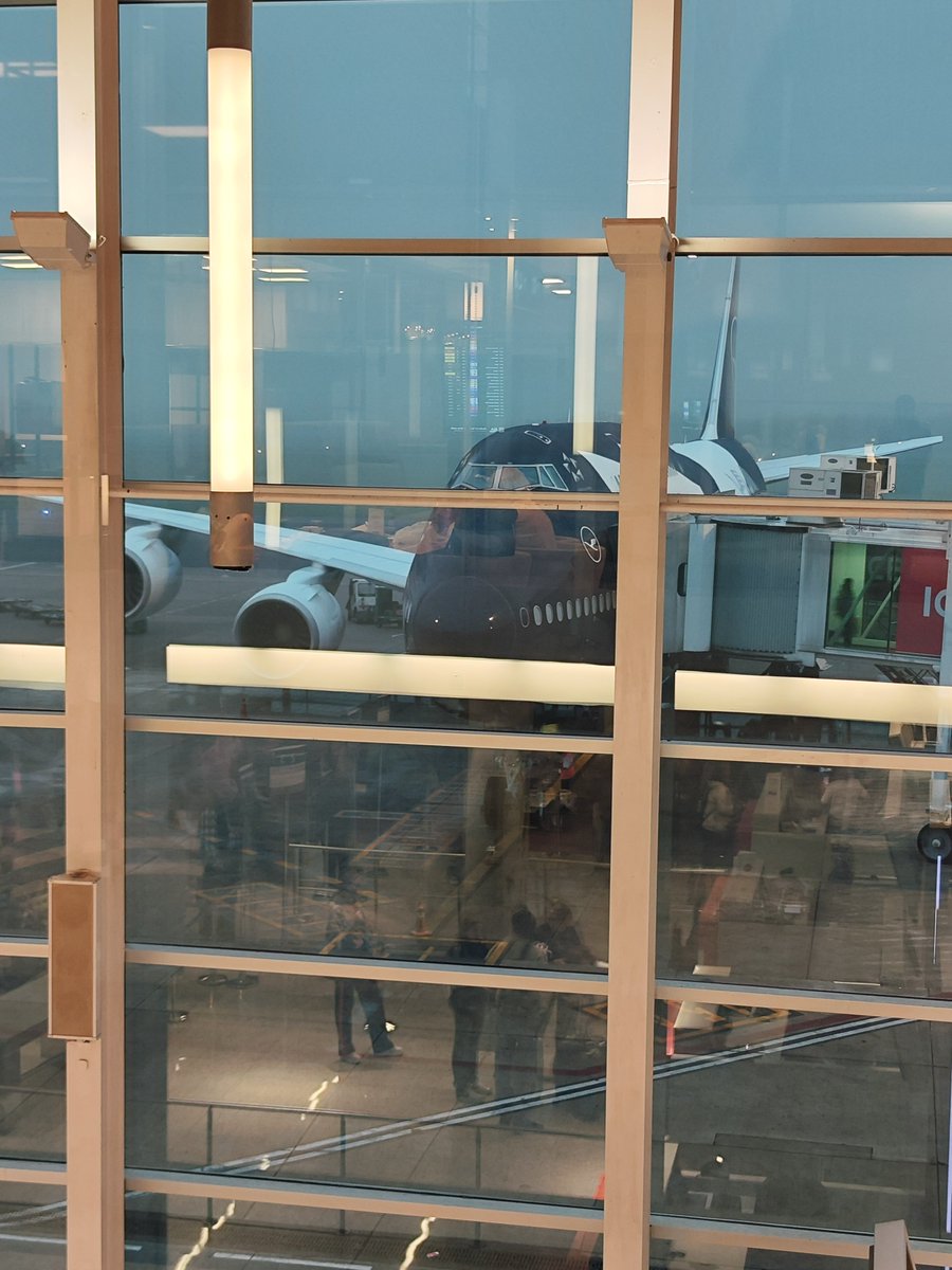 Portu ✈️ tweet media