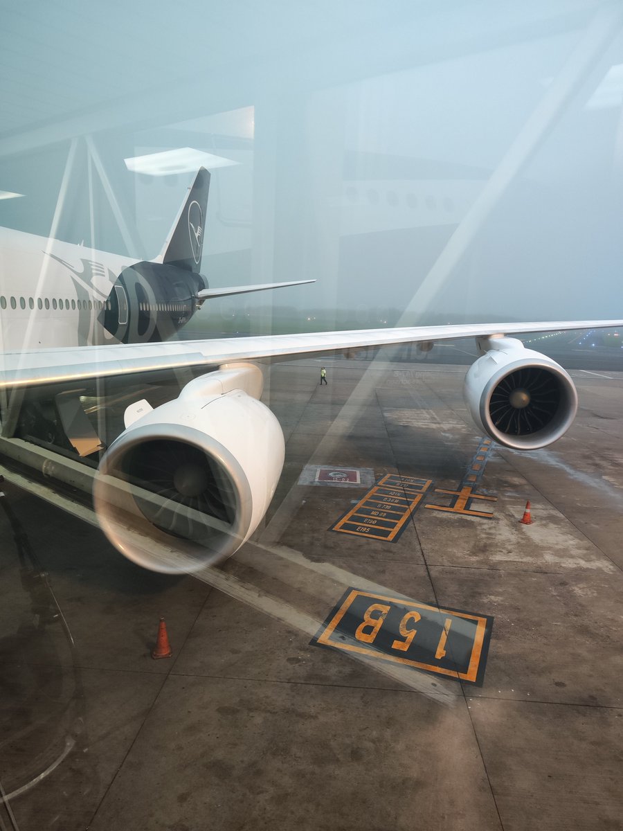 Portu ✈️ tweet media