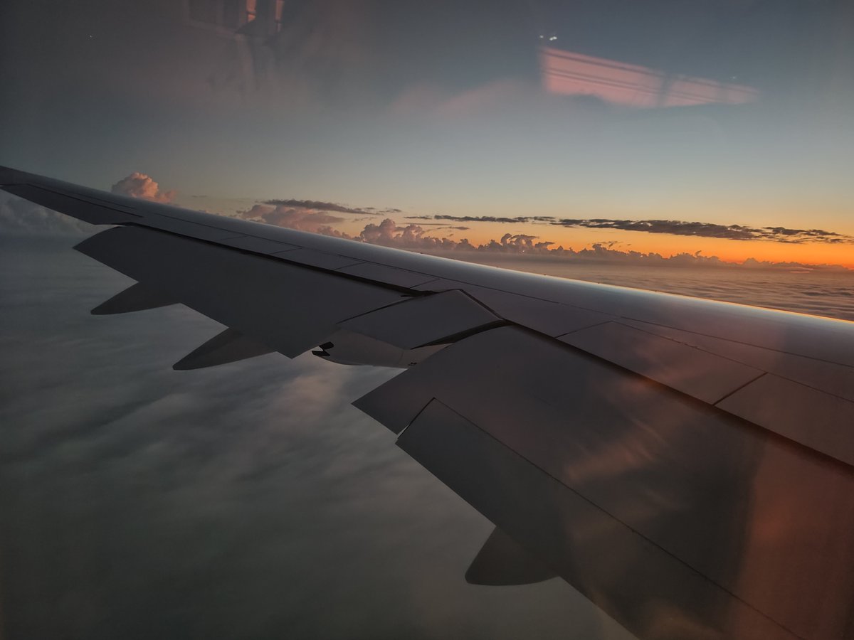 Portu ✈️ tweet media