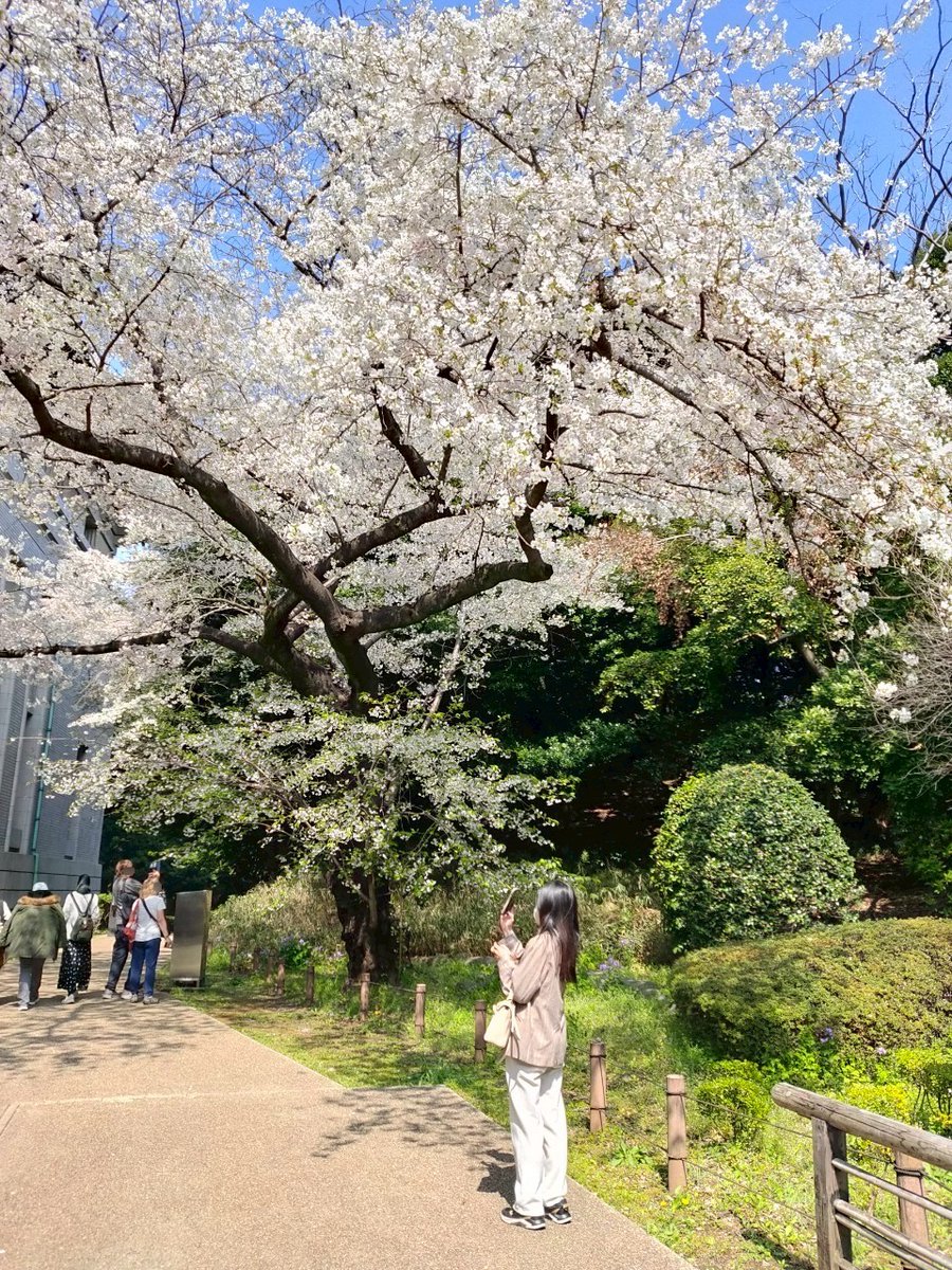 千田洋幸 tweet media