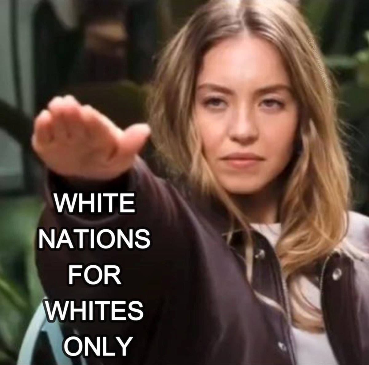 I don't like blacks and jews