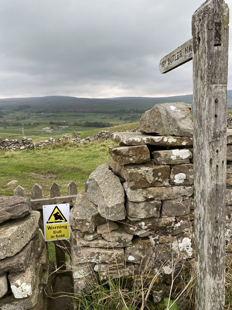 Sally Outram tweet media