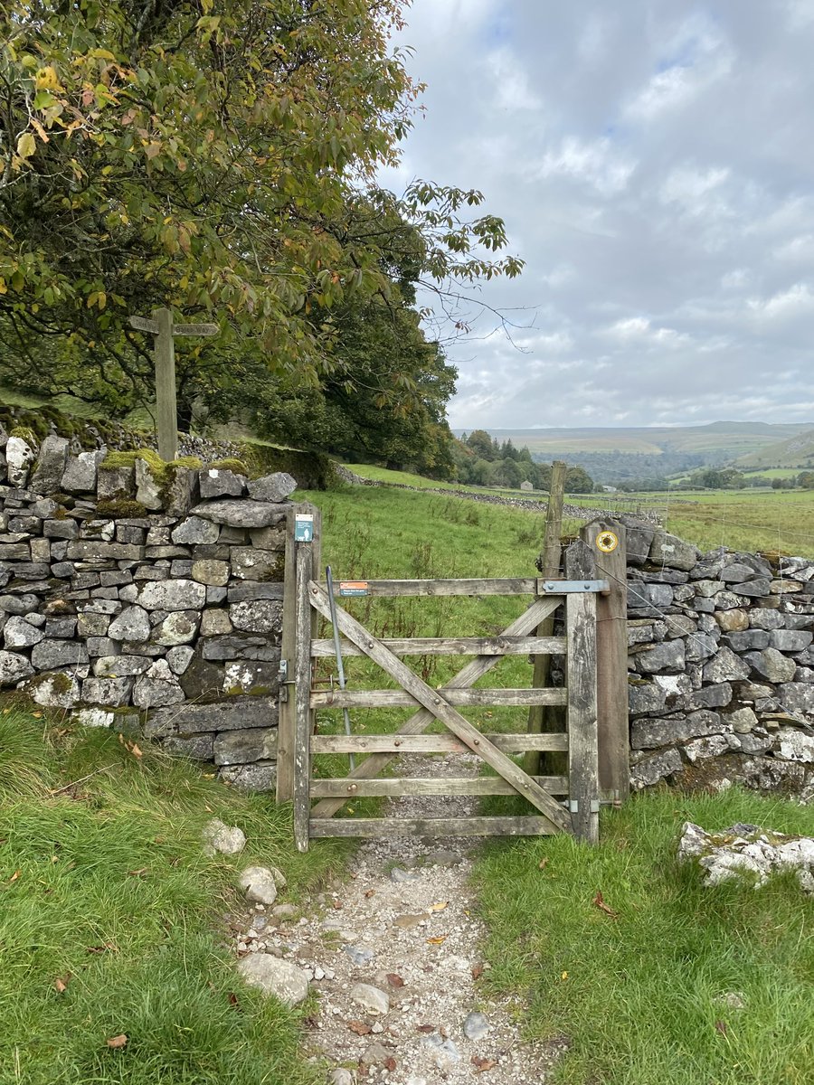 Sally Outram tweet media