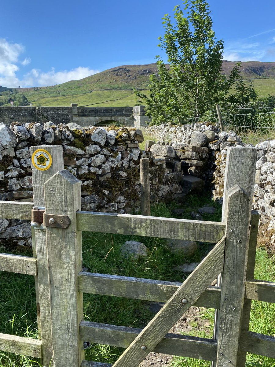 Sally Outram tweet media