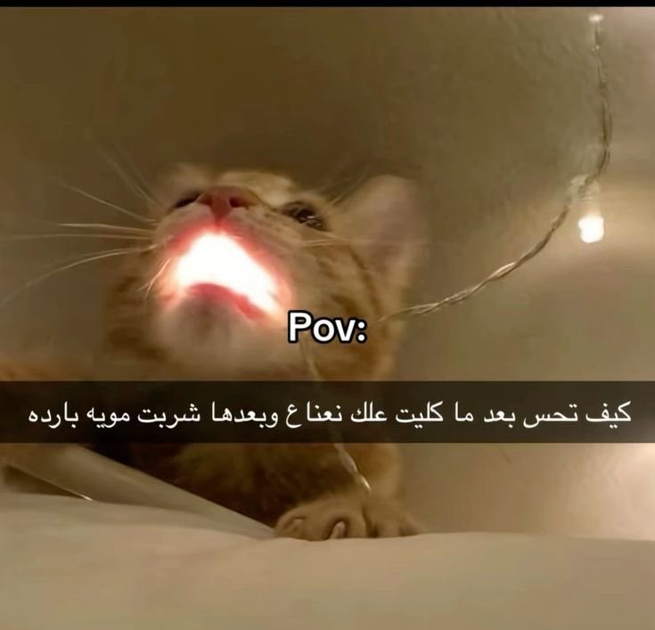 انس ماغيره (@99bd) on Twitter photo 