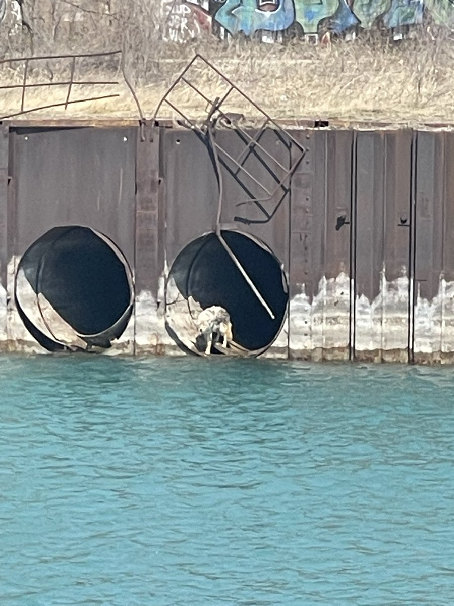 river 🐉🌃🌳 tweet media