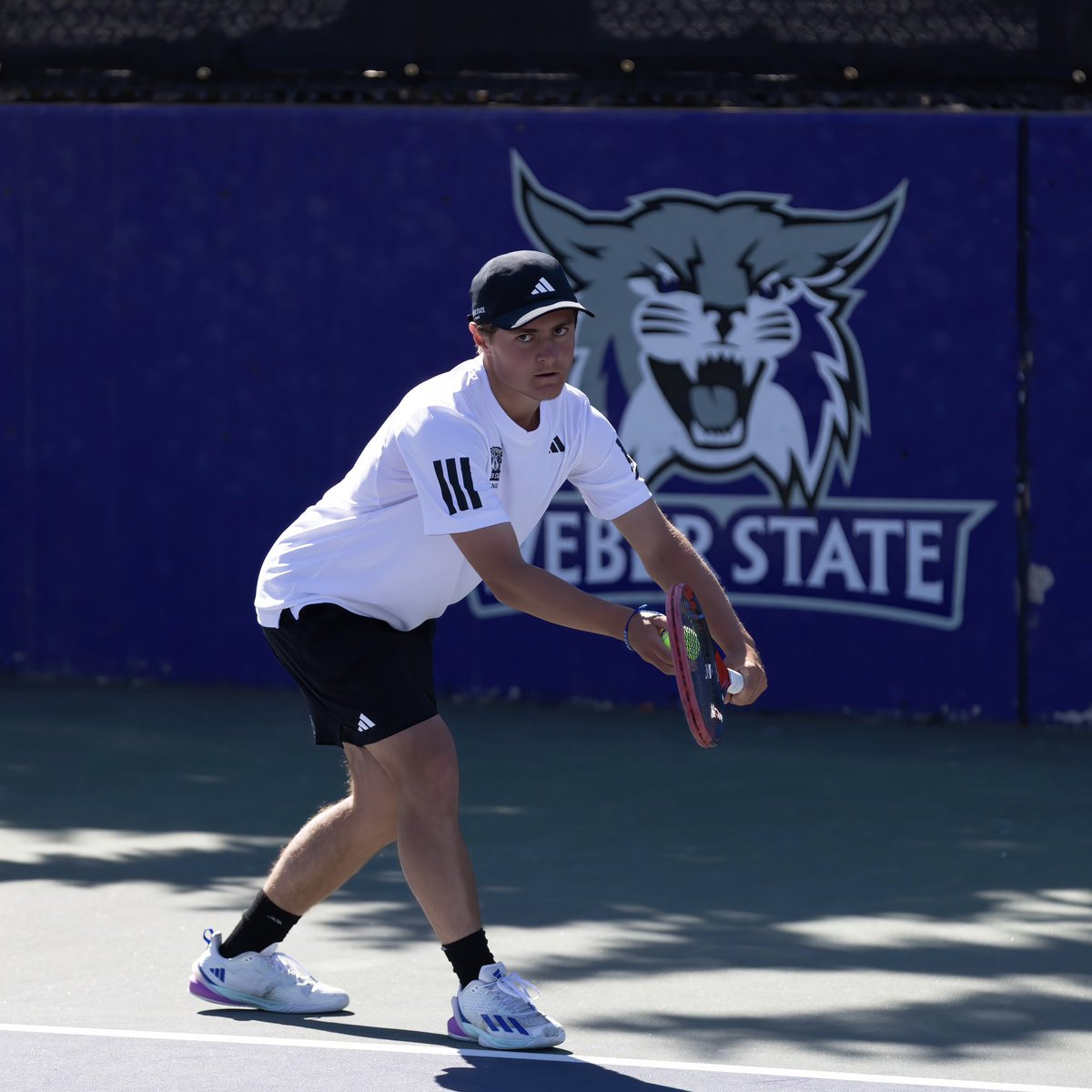webermentennis's tweet photo. 📸 from the Edman Tennis Courts

#WeAreWeber // #BigSkyTEN https://t.co/42l21j5wQC