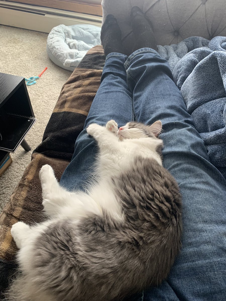 m9🇺🇸🦅 tweet media