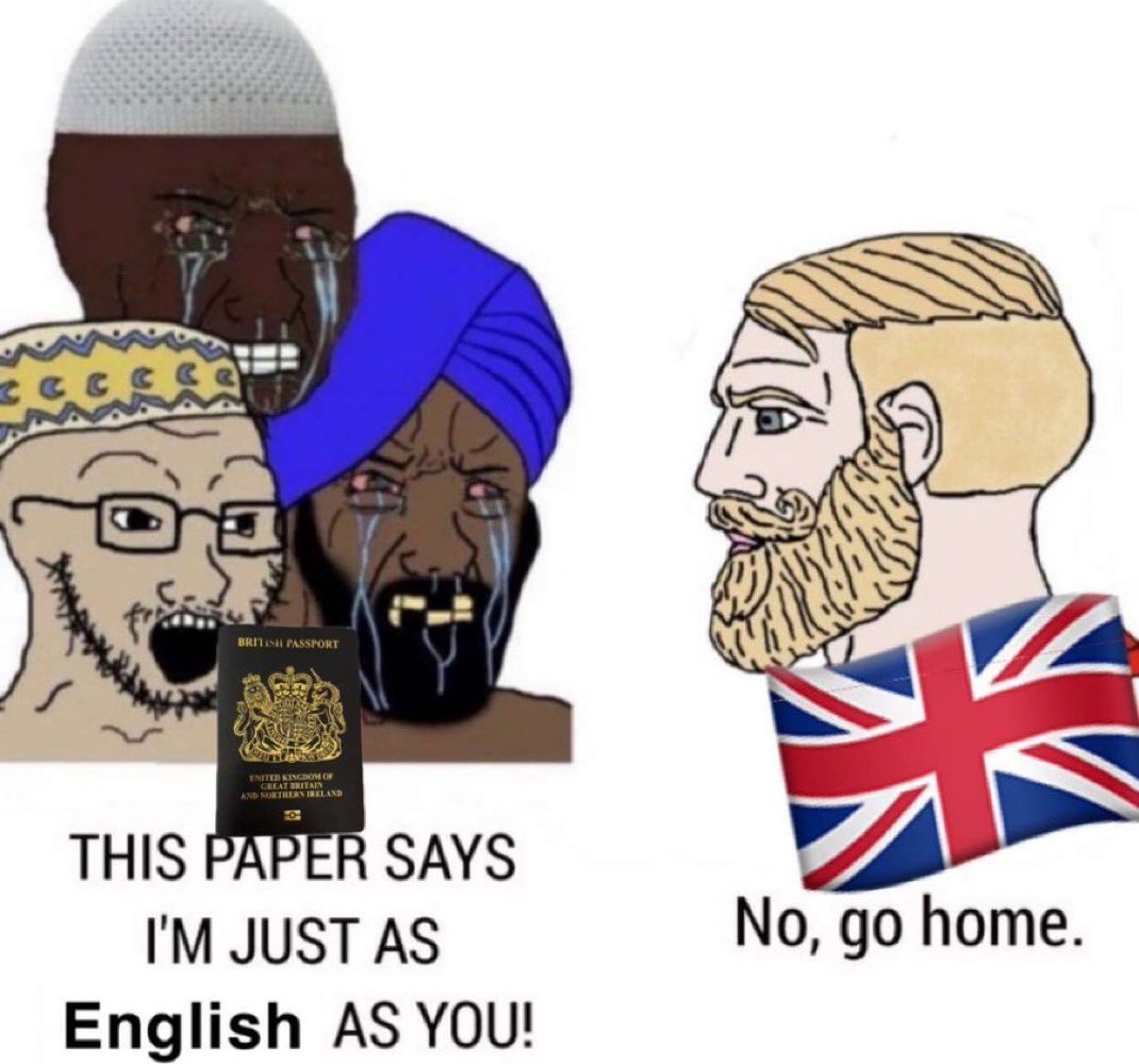 SharkFL239 tweet media