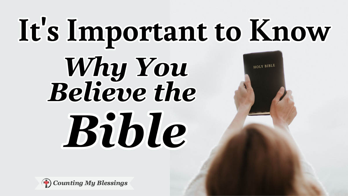 Deb Wolf tweet media