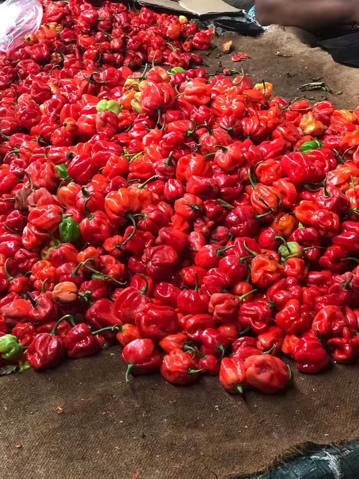 Emmyrate(Blue tick) tweet media